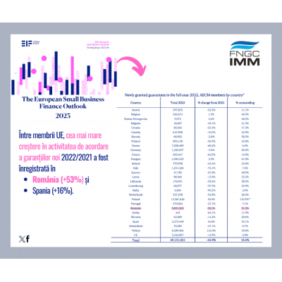 Dinamica activității Fondului Național de Garantare a Creditelor pentru IMM-uri, așează România pe prima poziție în UE în ceea ce privește acordarea de garanții  din surse guvernamentale.