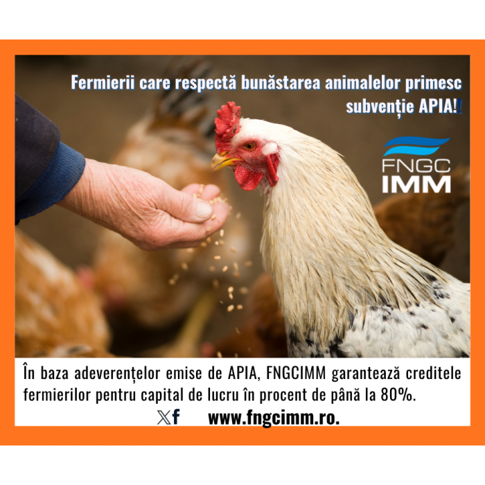 FNGCIMM continuă și în 2026 sprijinul pentru fermieri: acces mai ușor la credite garantate! FNGCIMM continuă și în 2026 sprijinul pentru fermieri: acces mai ușor la credite garantate!